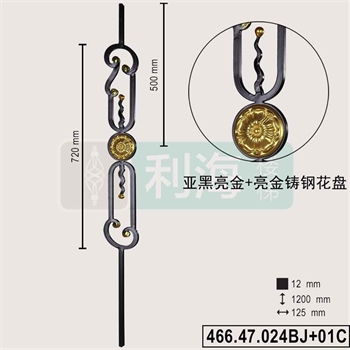 46647024BJ+01C的图片