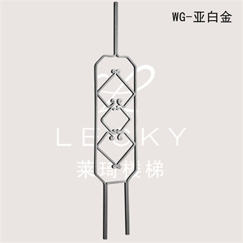 00987043WG的图片