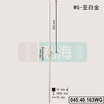 04540163WG的图片