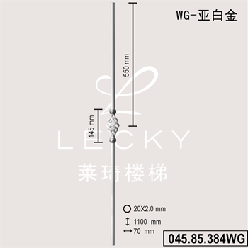 04585384WG的图片