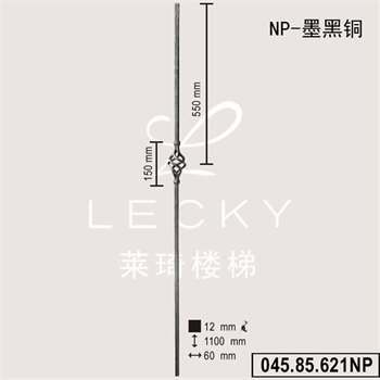 04585621NP的图片