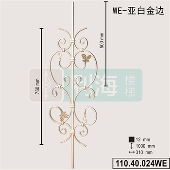 11040024WE的图片