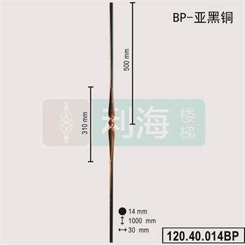 12040014BP的图片