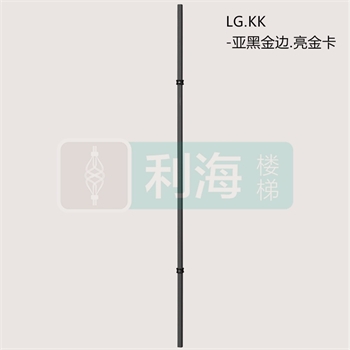 49040025-610LG.KK的图片