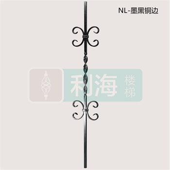 95040025NL的图片