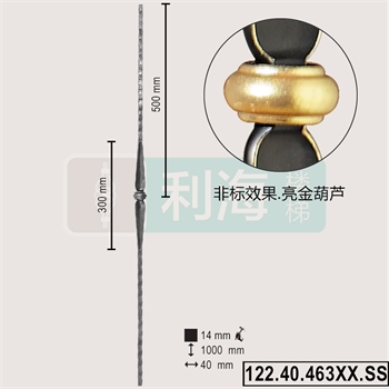 12240463XX.SS的图片