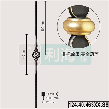 12440463XX.SS的图片