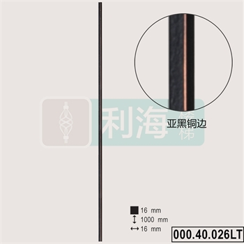 00040026LT的图片