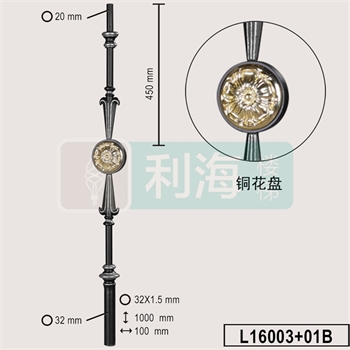 L16003+01B的图片